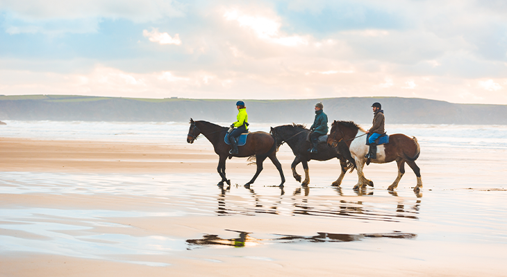 Mixed Tour with Ride